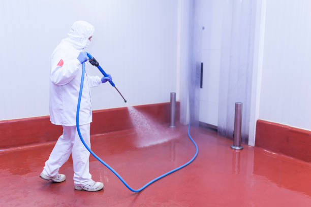 Professional Pressure Washing Services in Dunellen, NJ